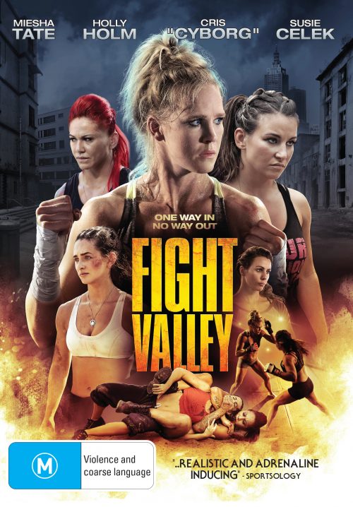 Fight Valley - High Res Art